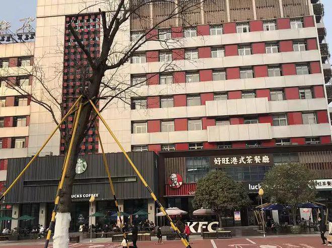重庆时时彩:2024,陕西创投的变局与新生